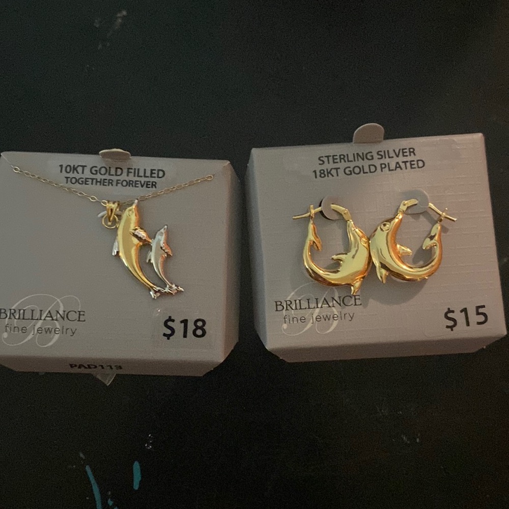 necklace with matching earrings , never wore , just asking what i paid